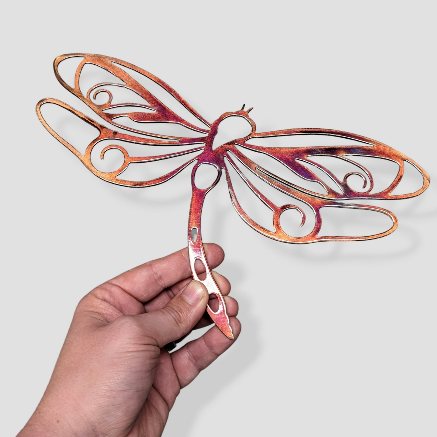 Small Dragonfly