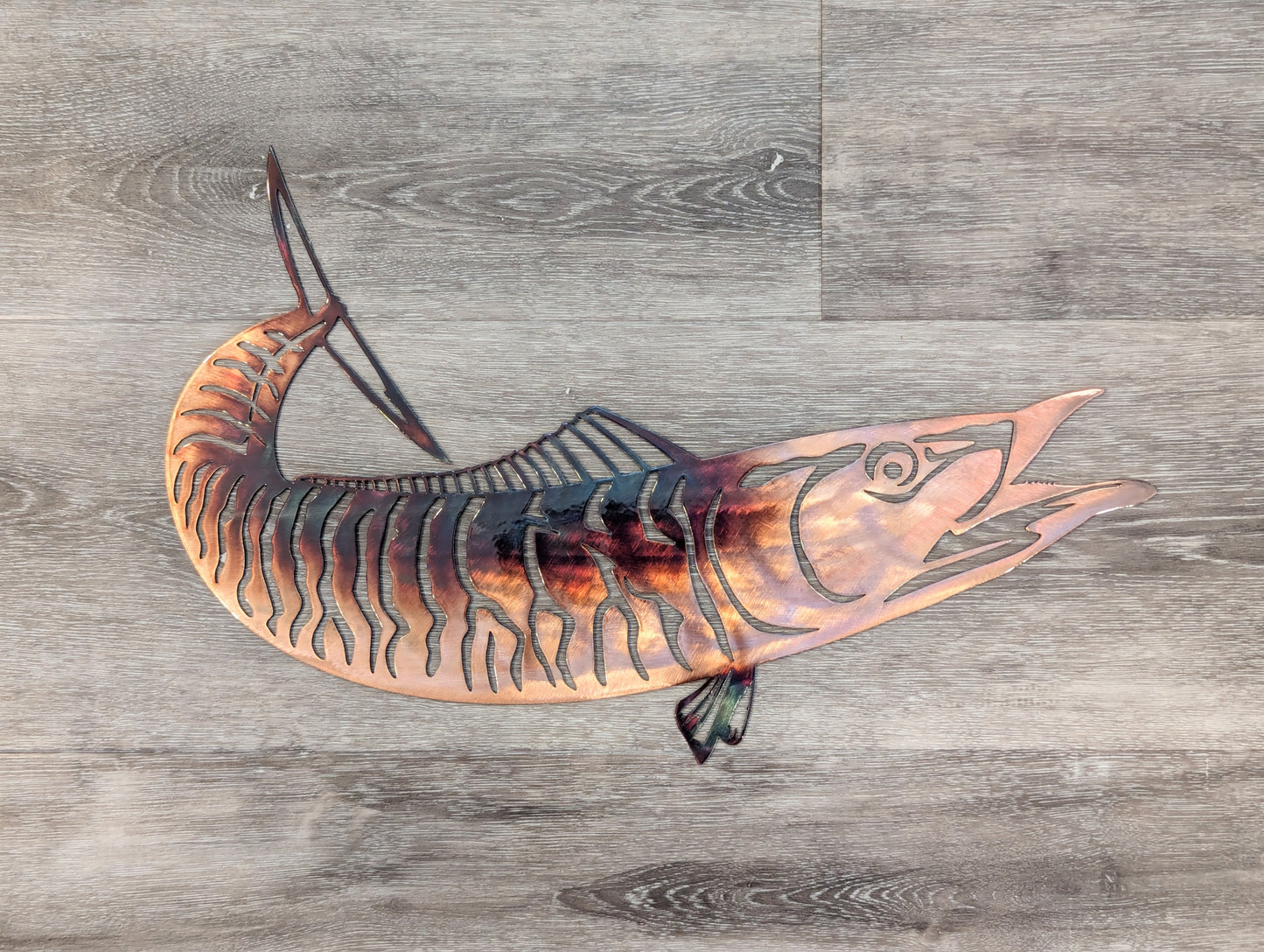 Barracuda
