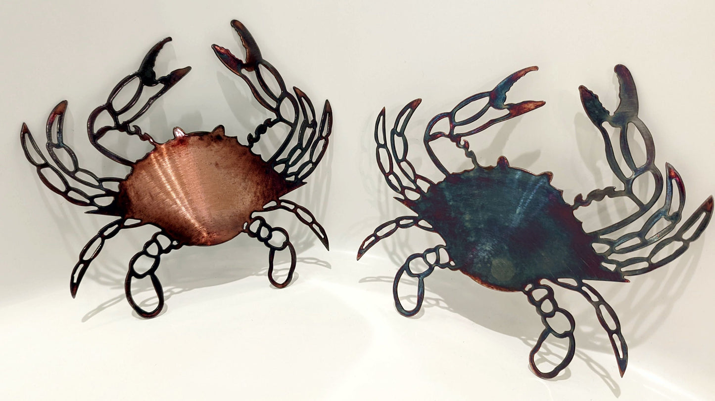 Maryland Blue Crab with Colorful Patinas