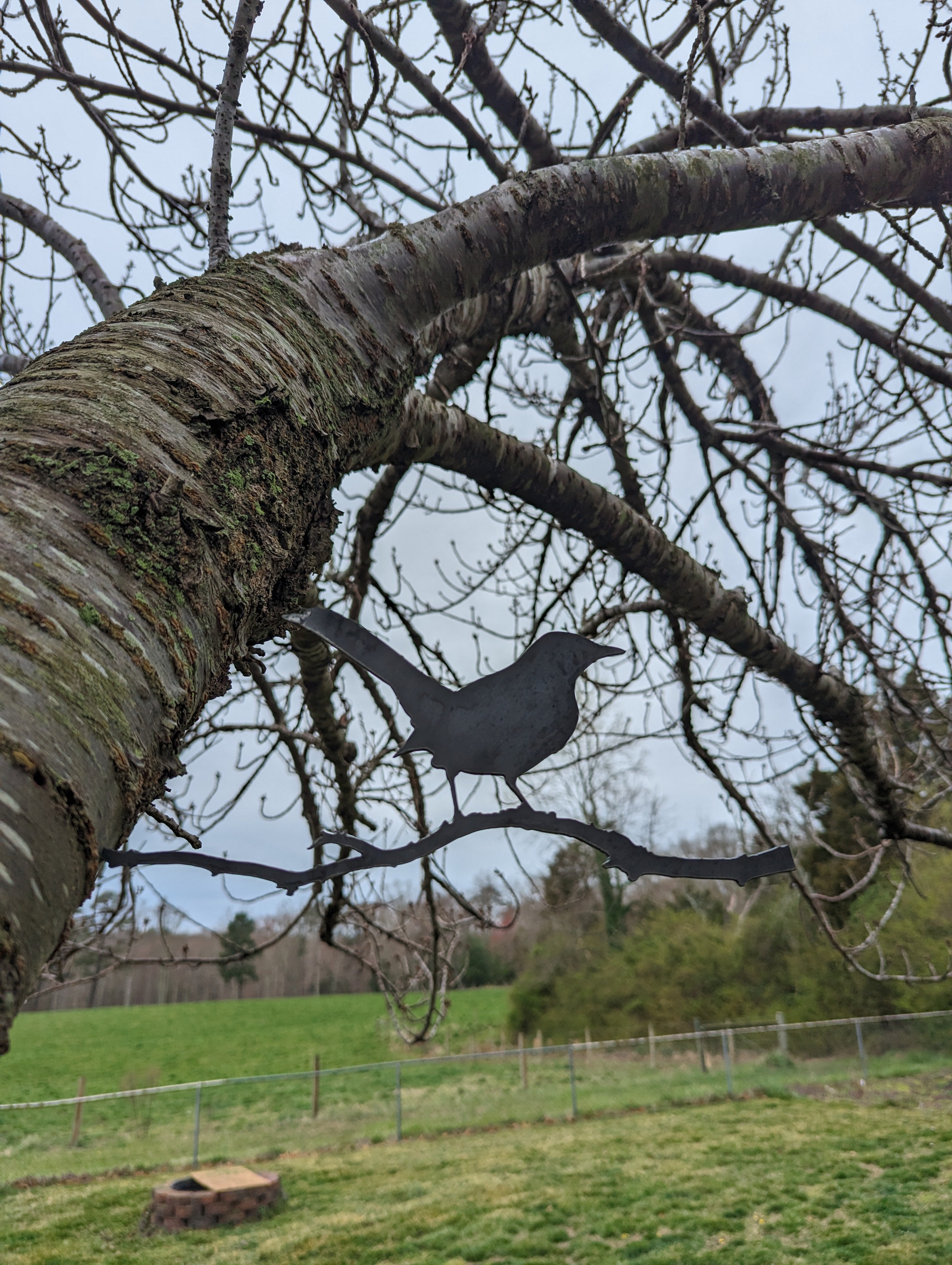 Mockingbird Metal Tree Art BML Plasma Arc Works